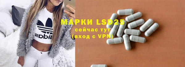 PSILOCYBIN Верея