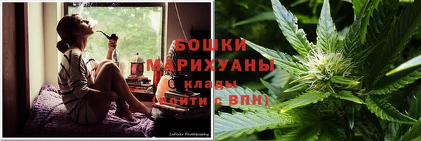 PSILOCYBIN Верея