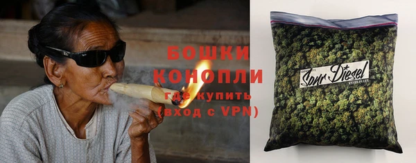 PSILOCYBIN Верея