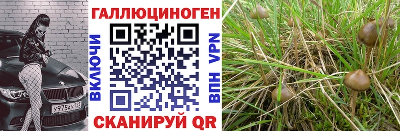 Галлюциногенные грибы MAGIC MUSHROOMS  Изобильный 